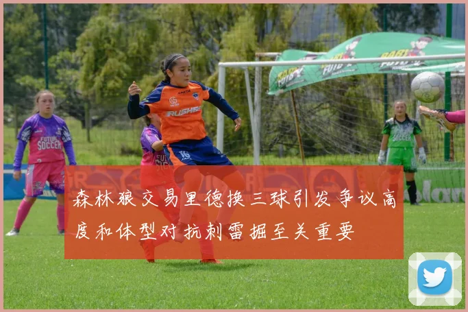 森林狼交易里德换三球引发争议高度和体型对抗刺雷掘至关重要